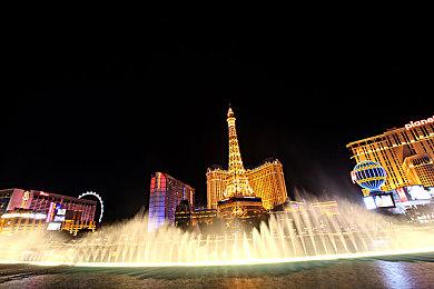 《恐龙小当家》全新预告！崭新版本关卡8月开启